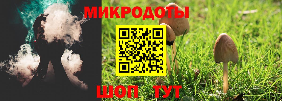 Псилоцибиновые грибы Psilocybe  Вход с VPN  Рязань  Галлюциногенные грибы мицелий 